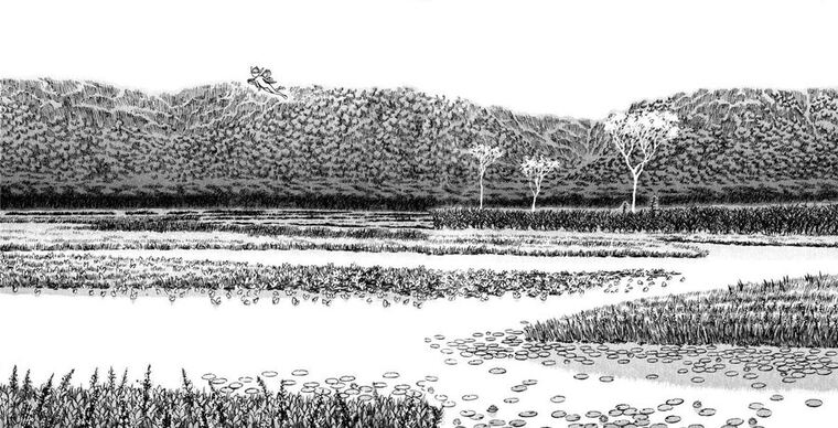 La Vallée des Brumes