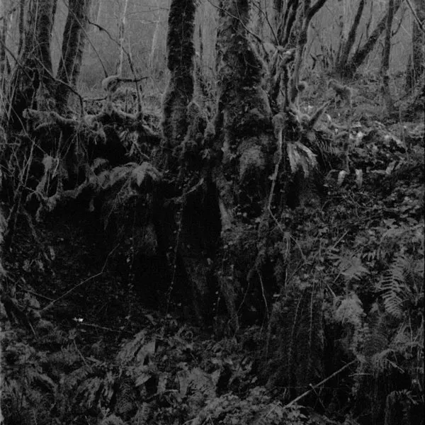 Damian Valles, Sundowning