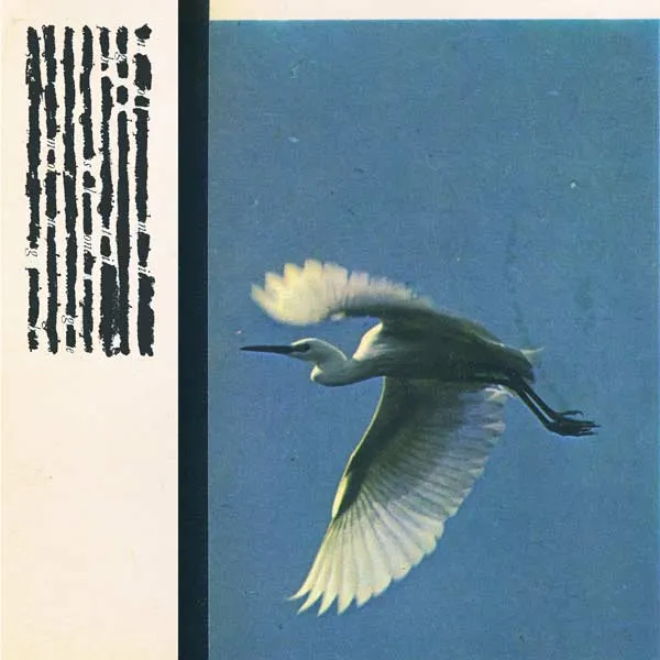 Aidan Baker, Saåad & Frédéric D. Oberland, No Night Is Long Enough To Dream Twice