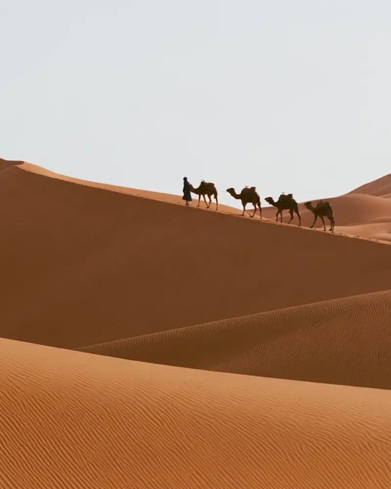 Erg Chebbi, Maroc