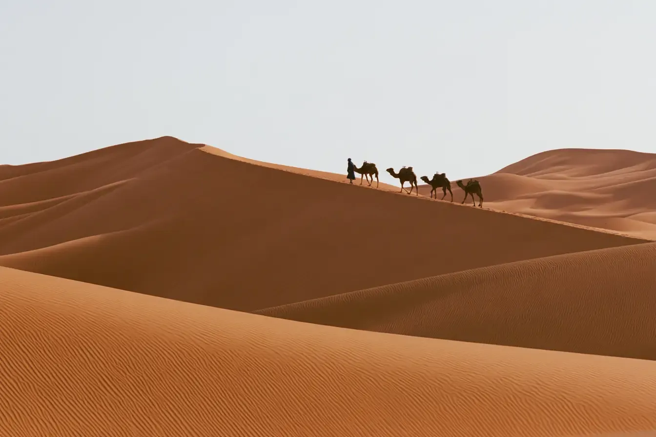 Une caravane sur les crêtes de l’Erg Chebbi