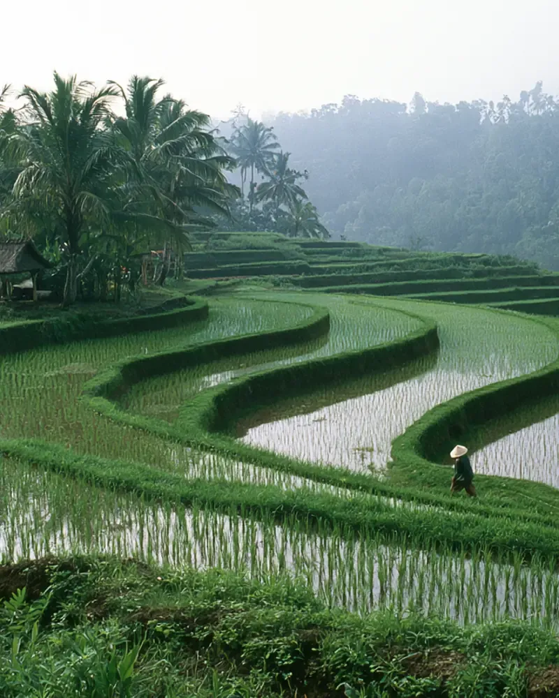Bali, Indonésie