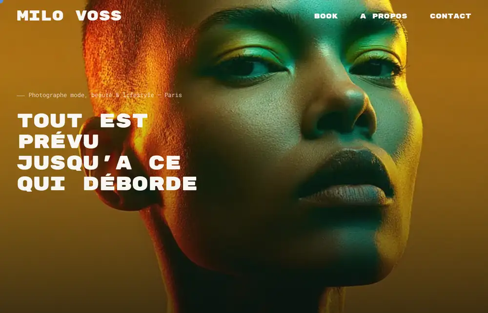 Page d'accueil du site Milo Voss