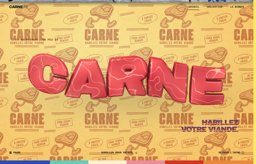 Page d'accueil du site CARNE